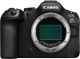 CANON EOS R6 III Body
