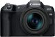 CANON EOS R8 + RF 24-50mm f/4.5-6.3 IS STM Lens